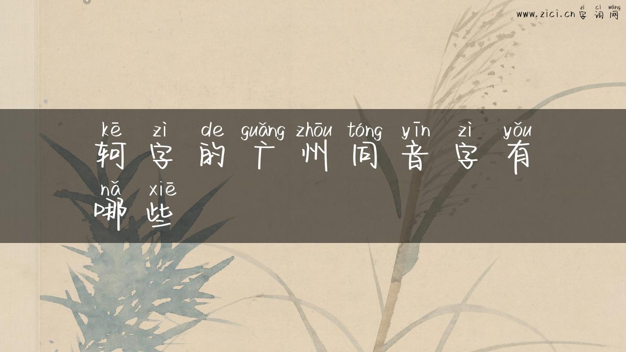 轲字的广州同音字有哪些