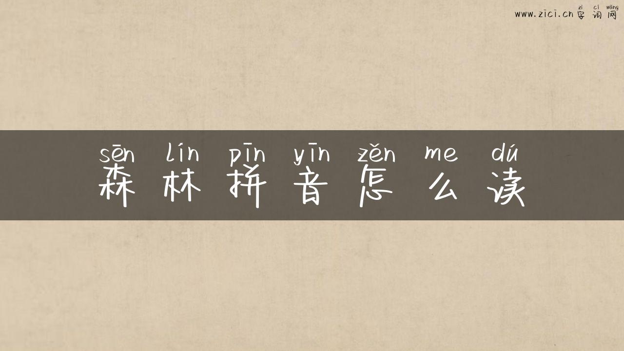森林拼音怎么读