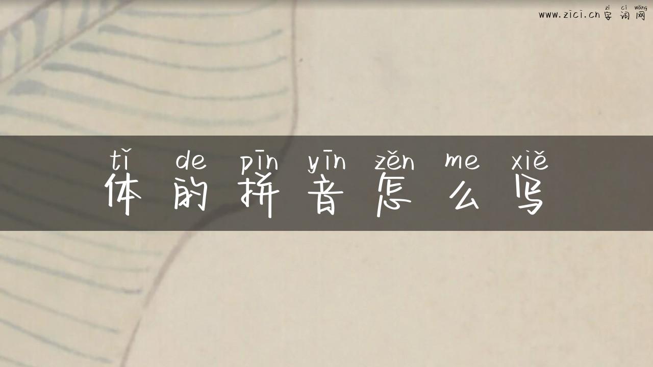 体的拼音怎么写