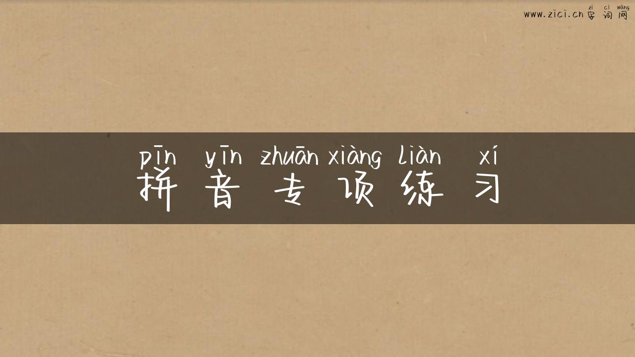 拼音专项练习