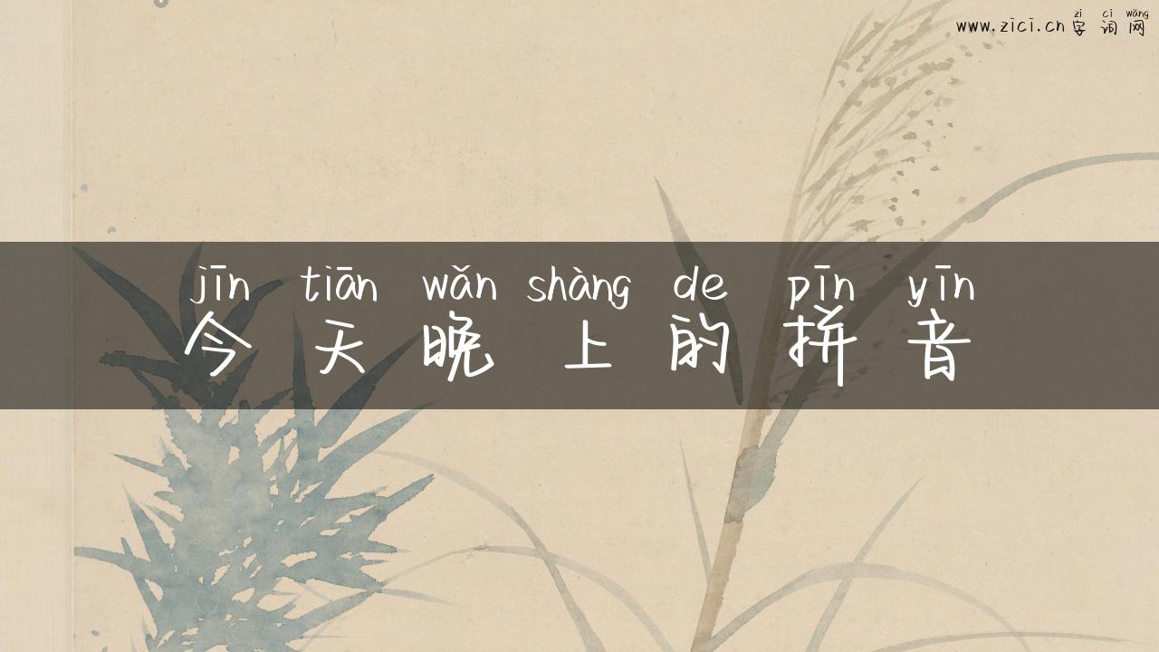 今天晚上的拼音