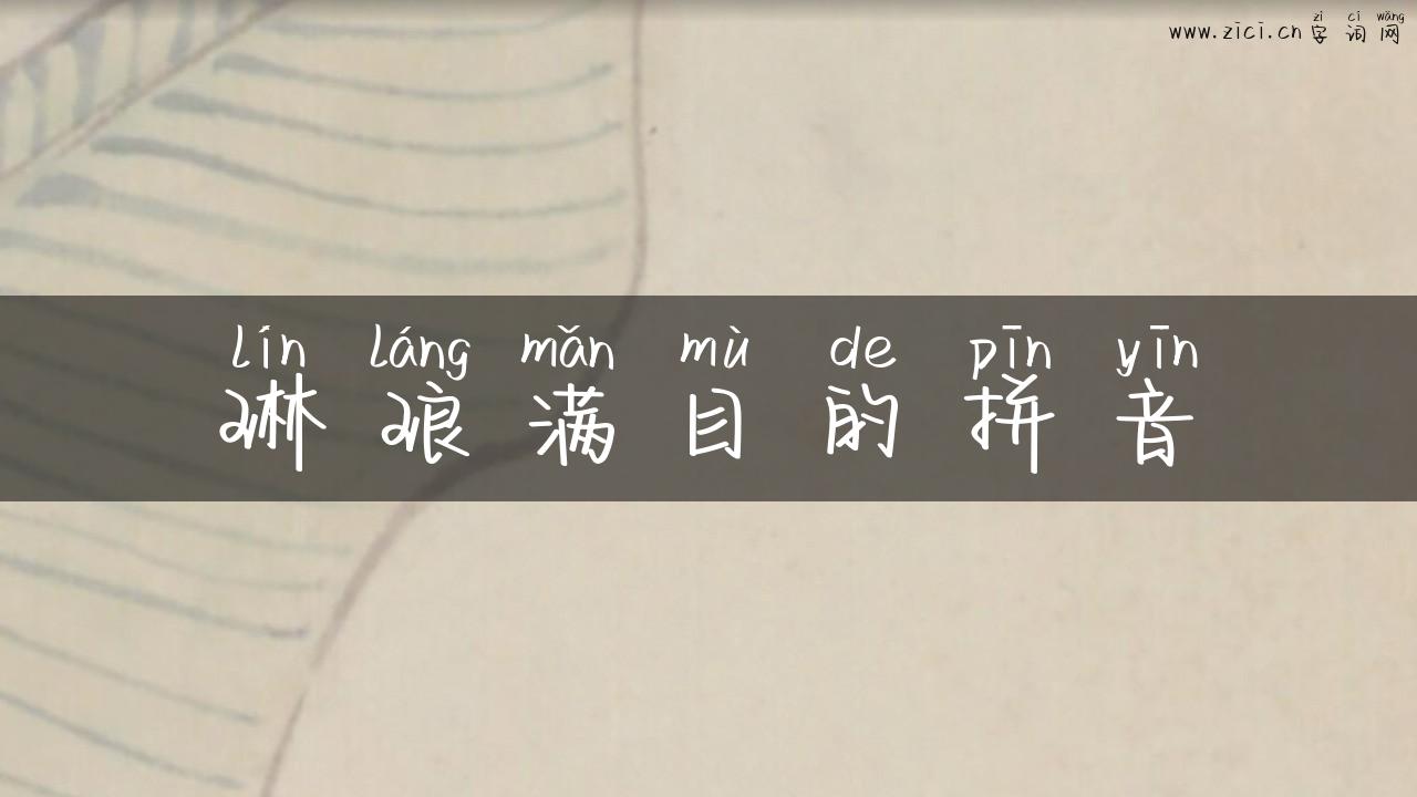 琳琅满目的拼音