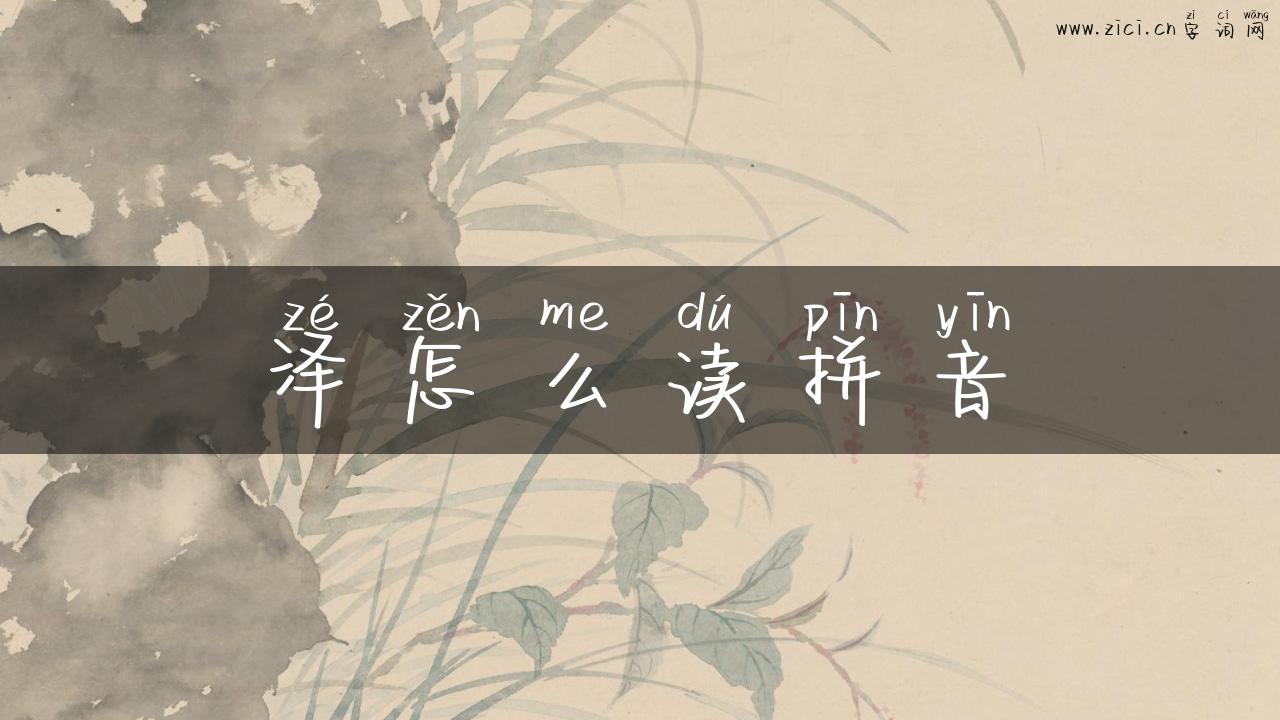 泽怎么读拼音