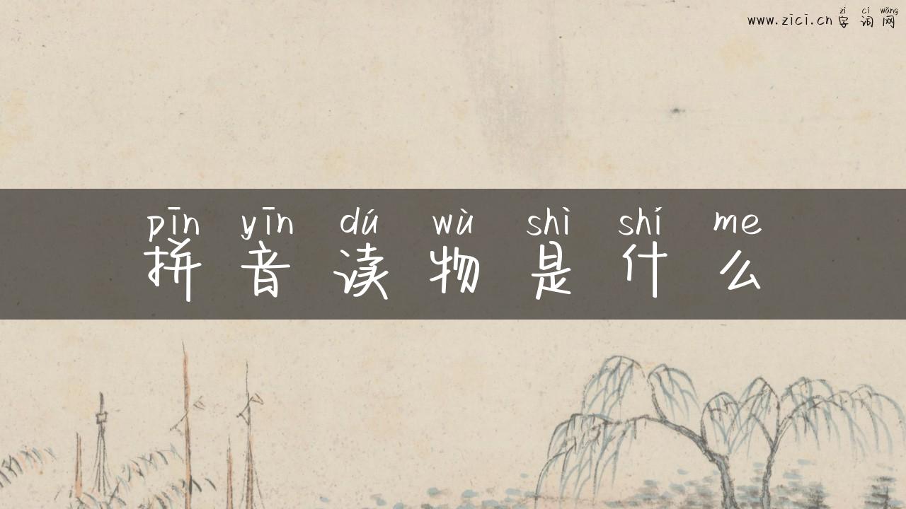 拼音读物是什么
