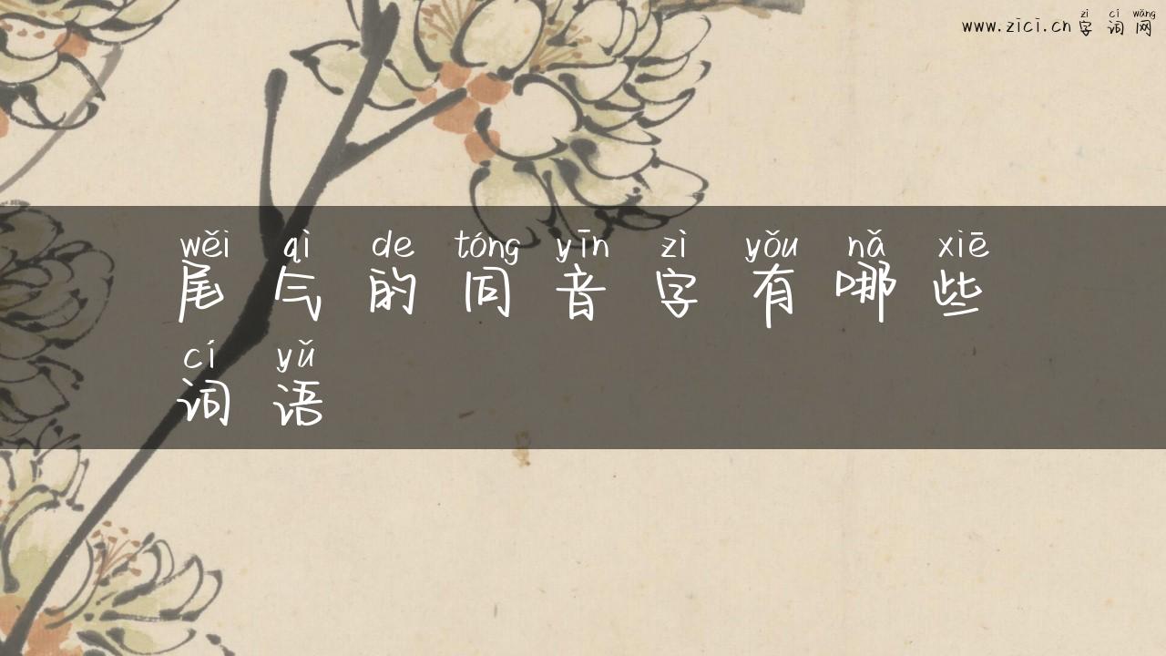 尾气的同音字有哪些词语