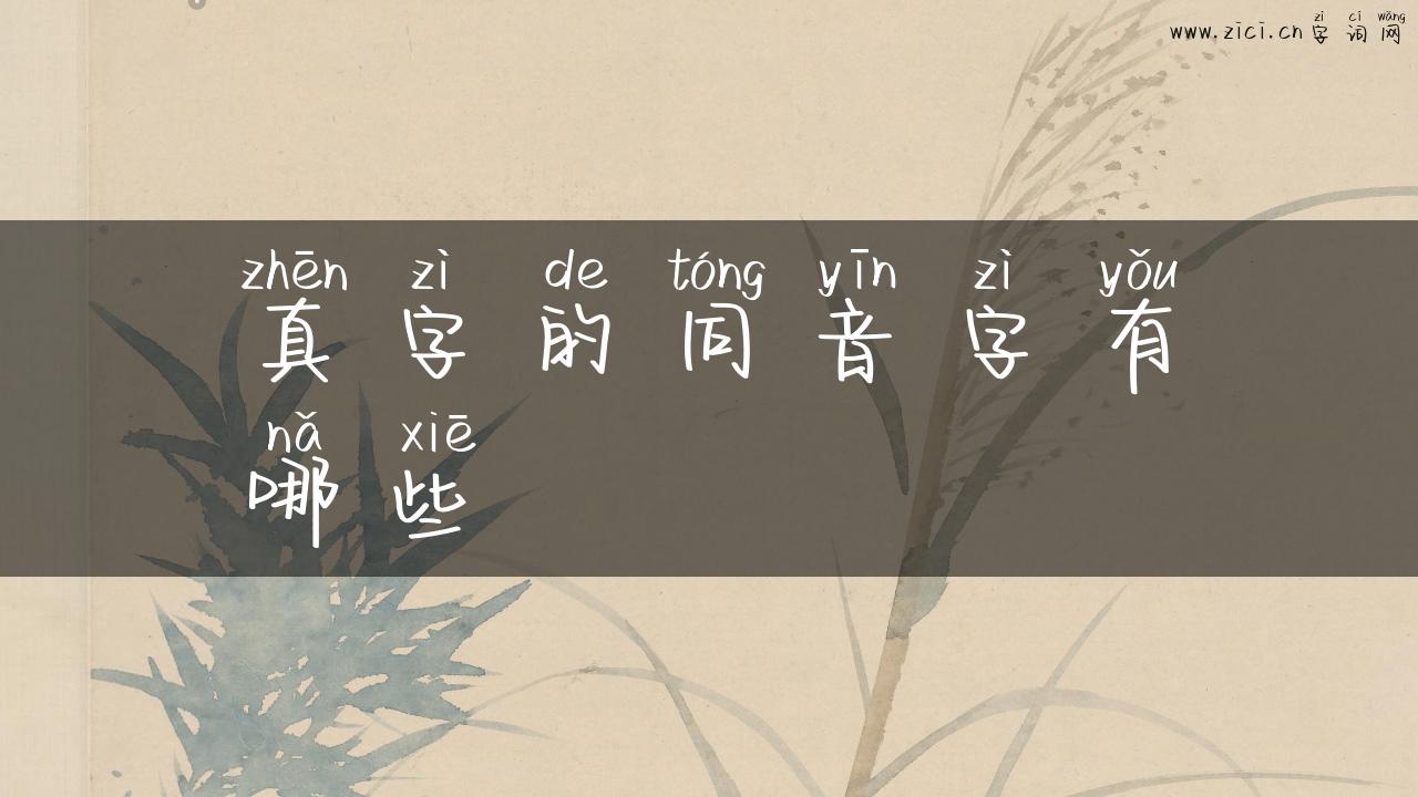 真字的同音字有哪些