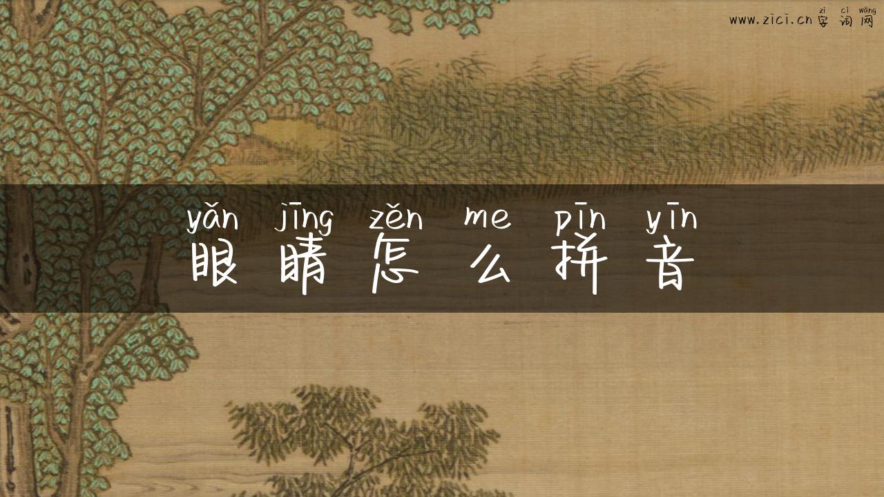 眼睛怎么拼音