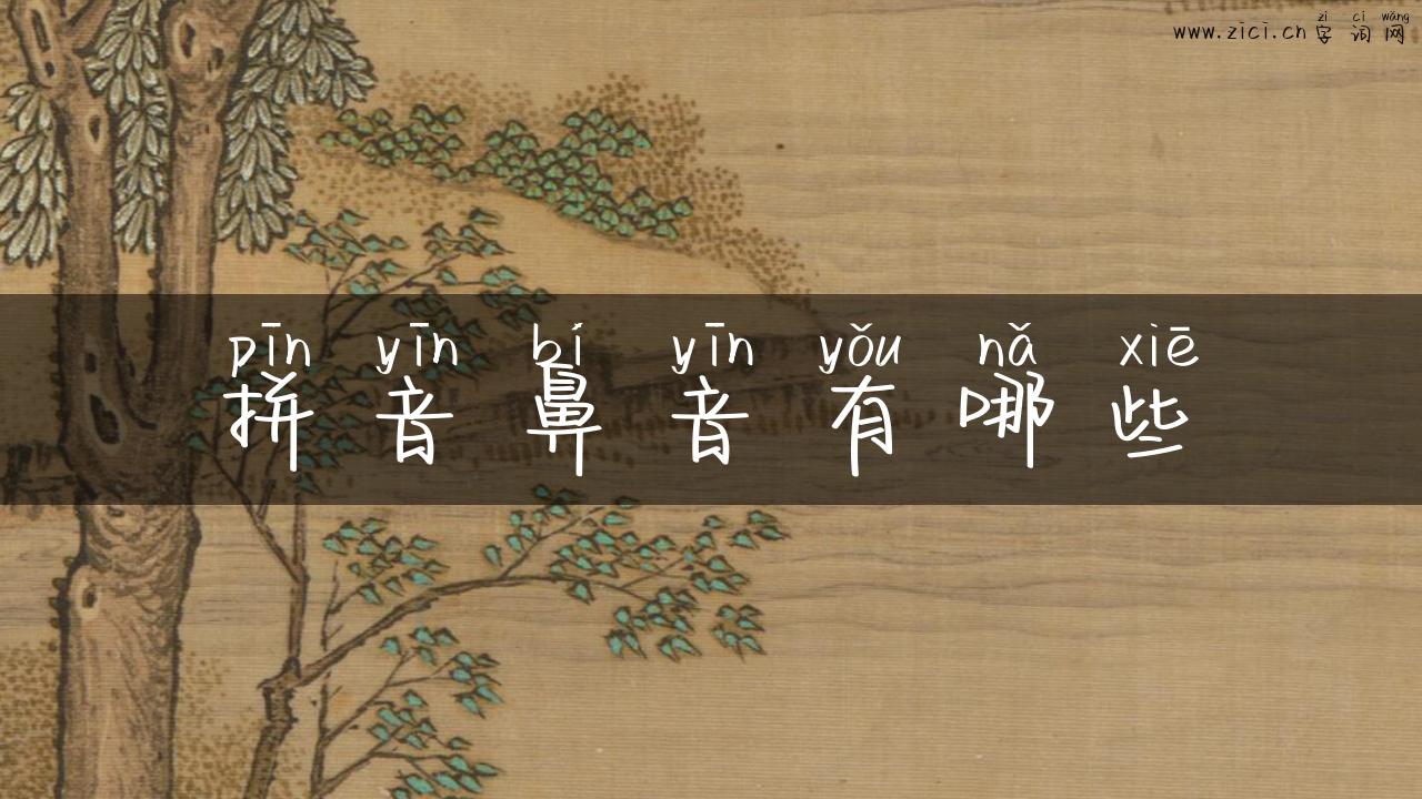 拼音鼻音有哪些