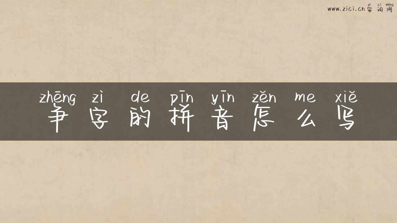 争字的拼音怎么写