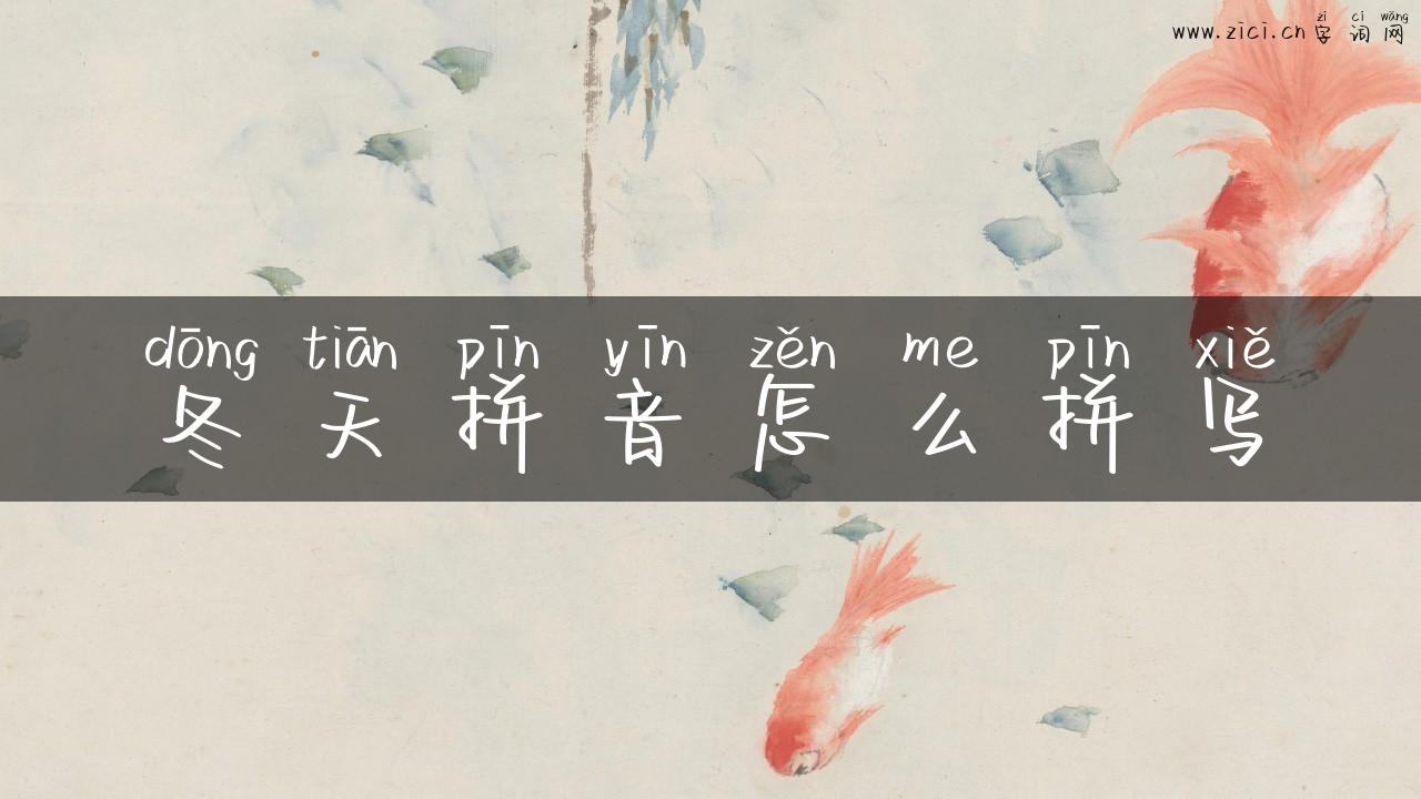 冬天拼音怎么拼写