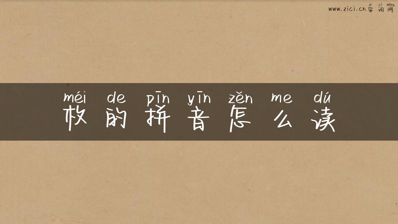枚的拼音怎么读
