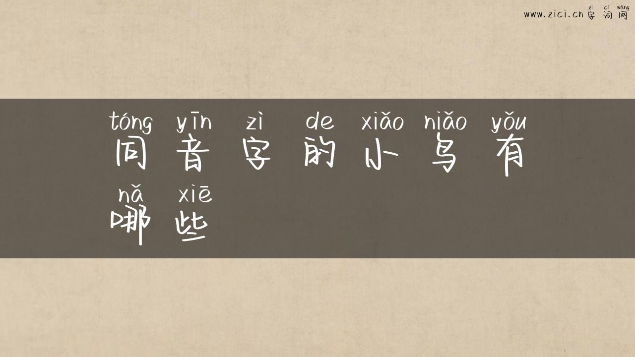 同音字的小鸟有哪些
