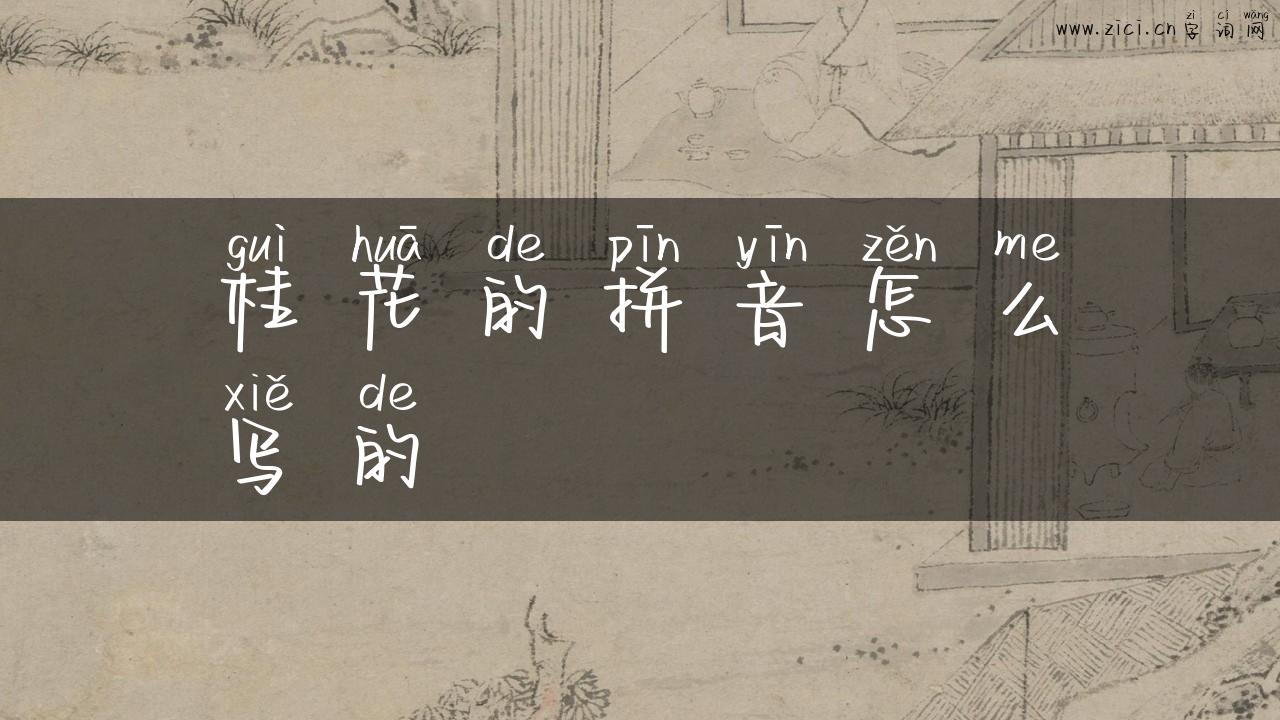 桂花的拼音怎么写的
