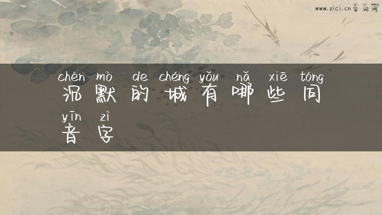 沉默的城有哪些同音字