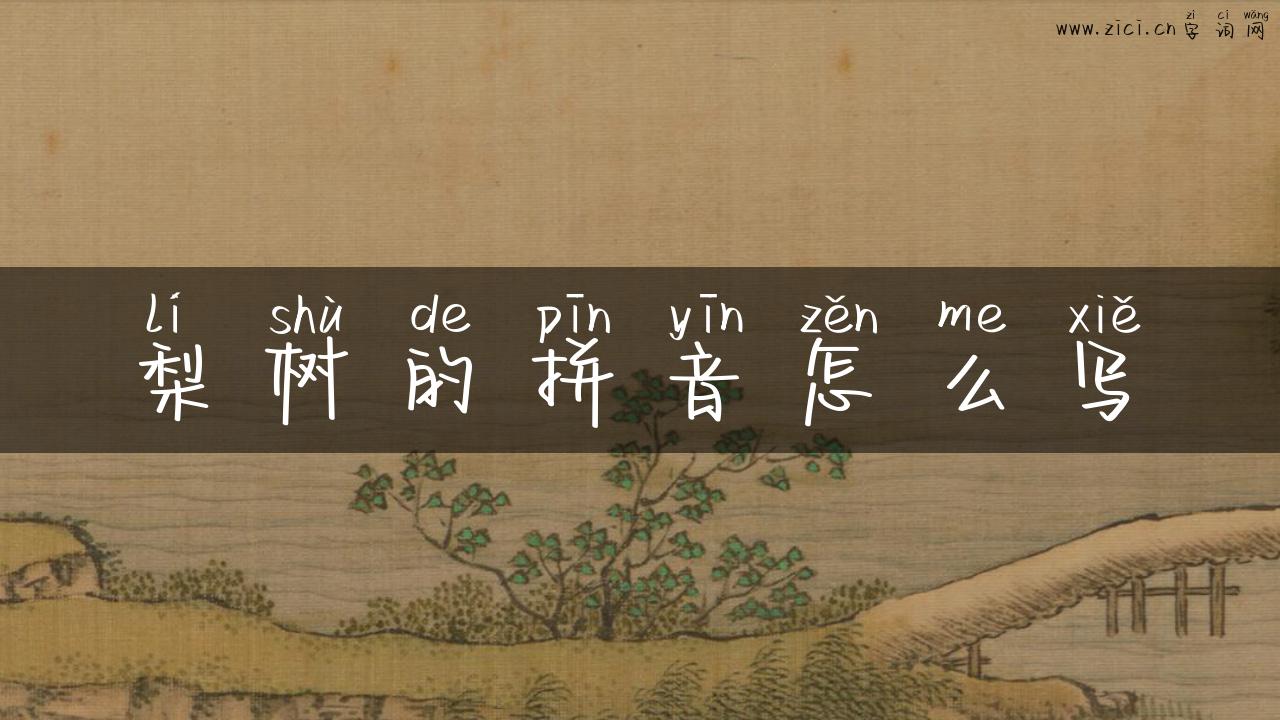 梨树的拼音怎么写