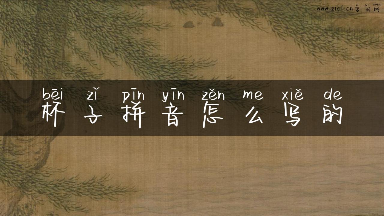 杯子拼音怎么写的