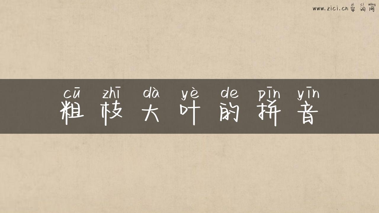 粗枝大叶的拼音