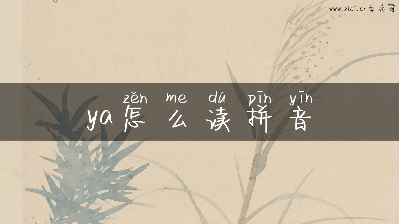 ya怎么读拼音