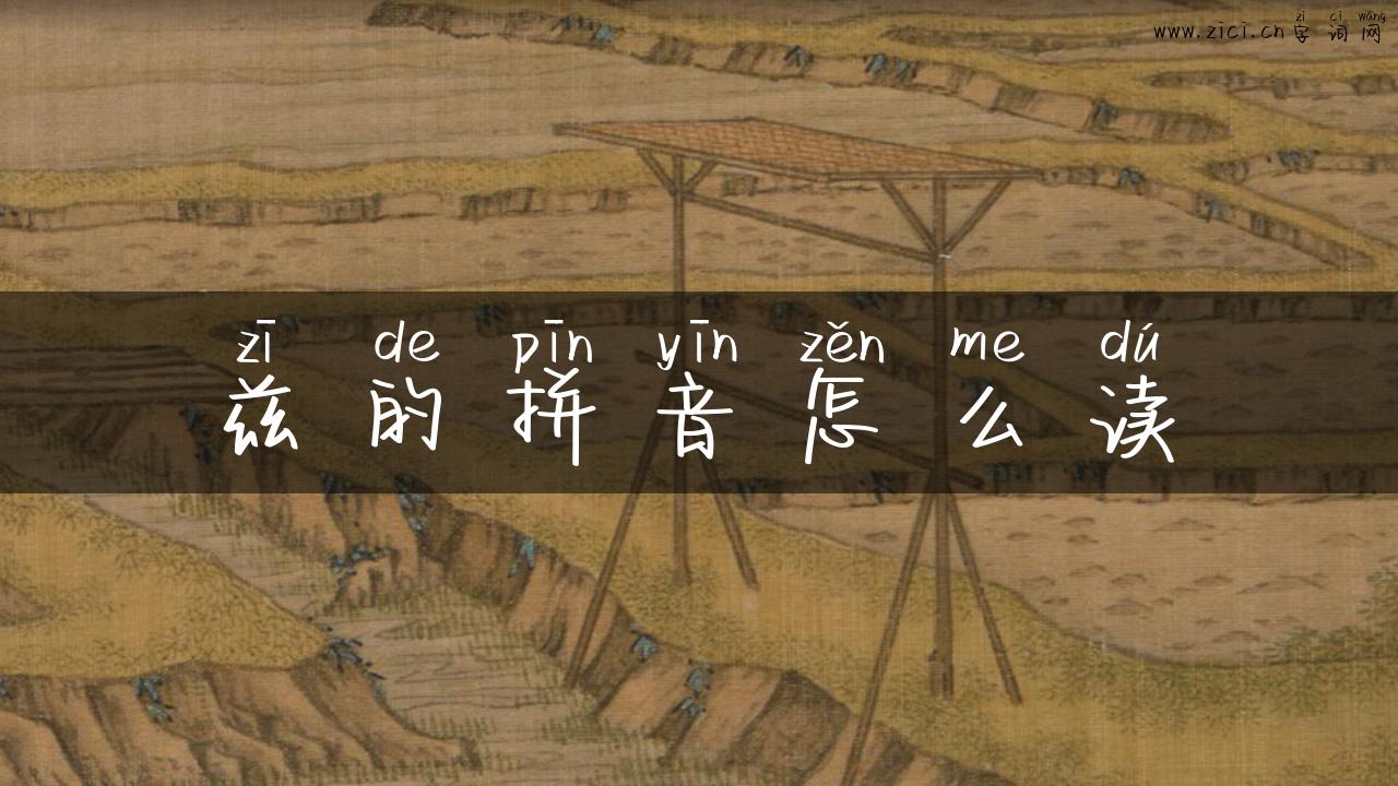 兹的拼音怎么读
