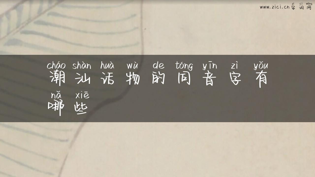 潮汕话物的同音字有哪些