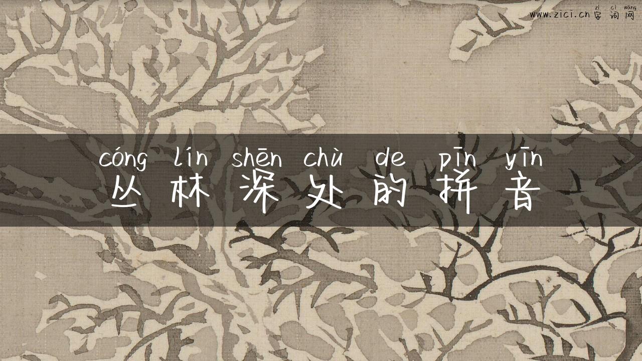 丛林深处的拼音