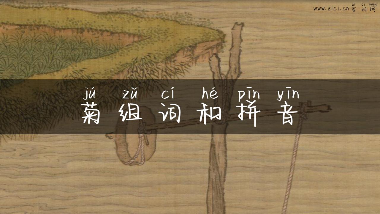 菊组词和拼音