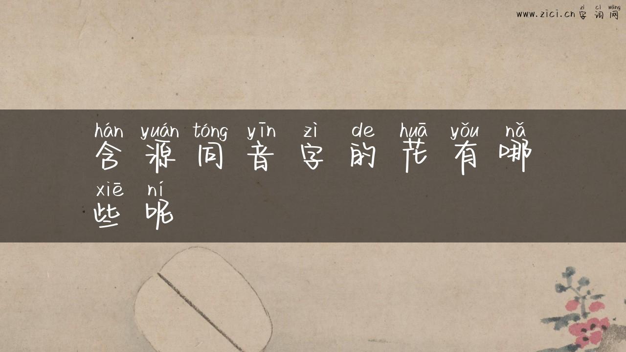 含源同音字的花有哪些呢