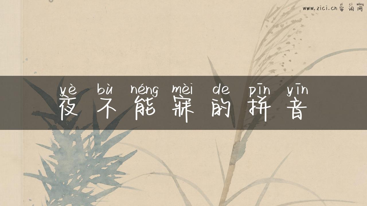 夜不能寐的拼音