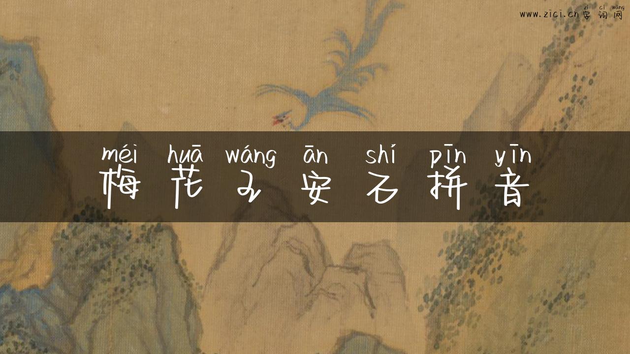 梅花王安石拼音
