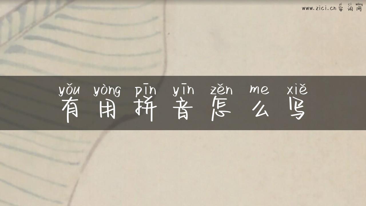 有用拼音怎么写