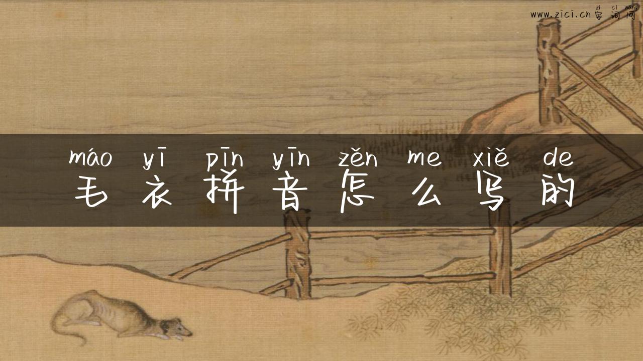 毛衣拼音怎么写的