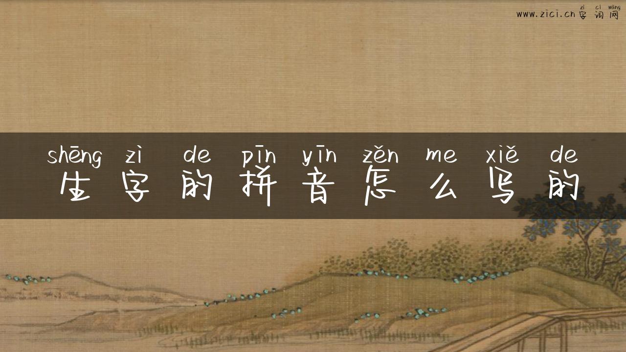 生字的拼音怎么写的