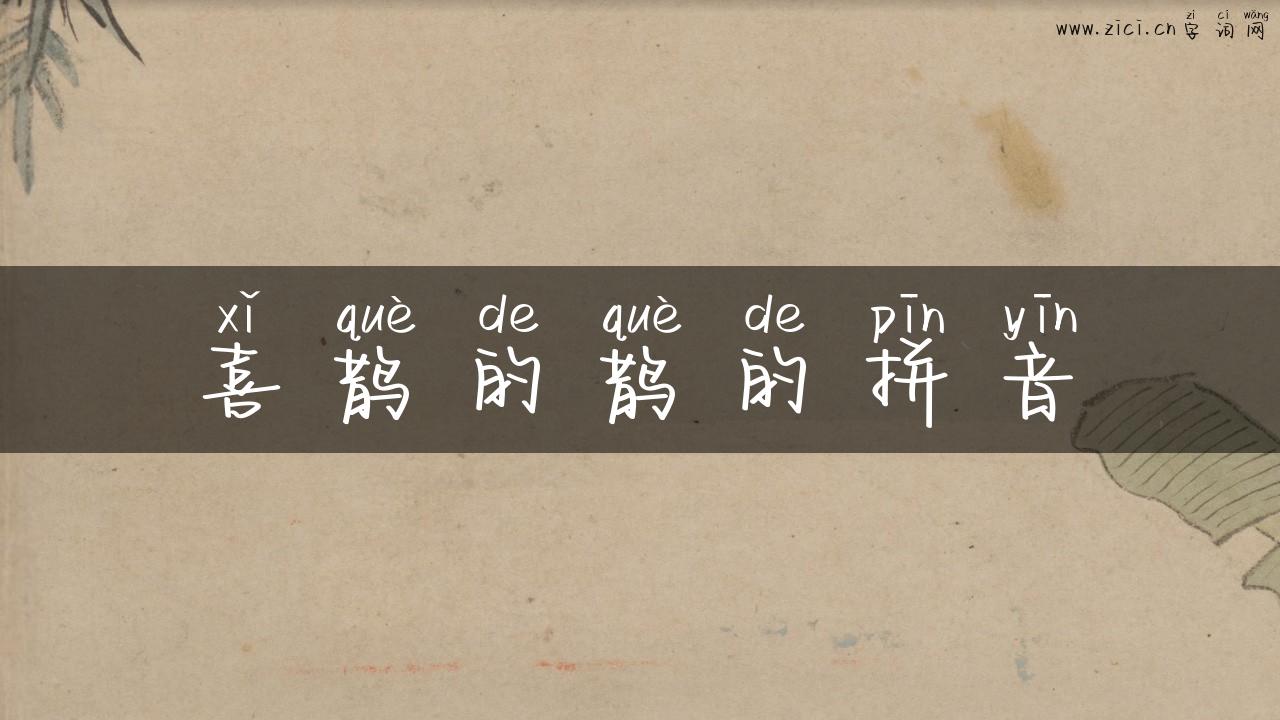 喜鹊的鹊的拼音