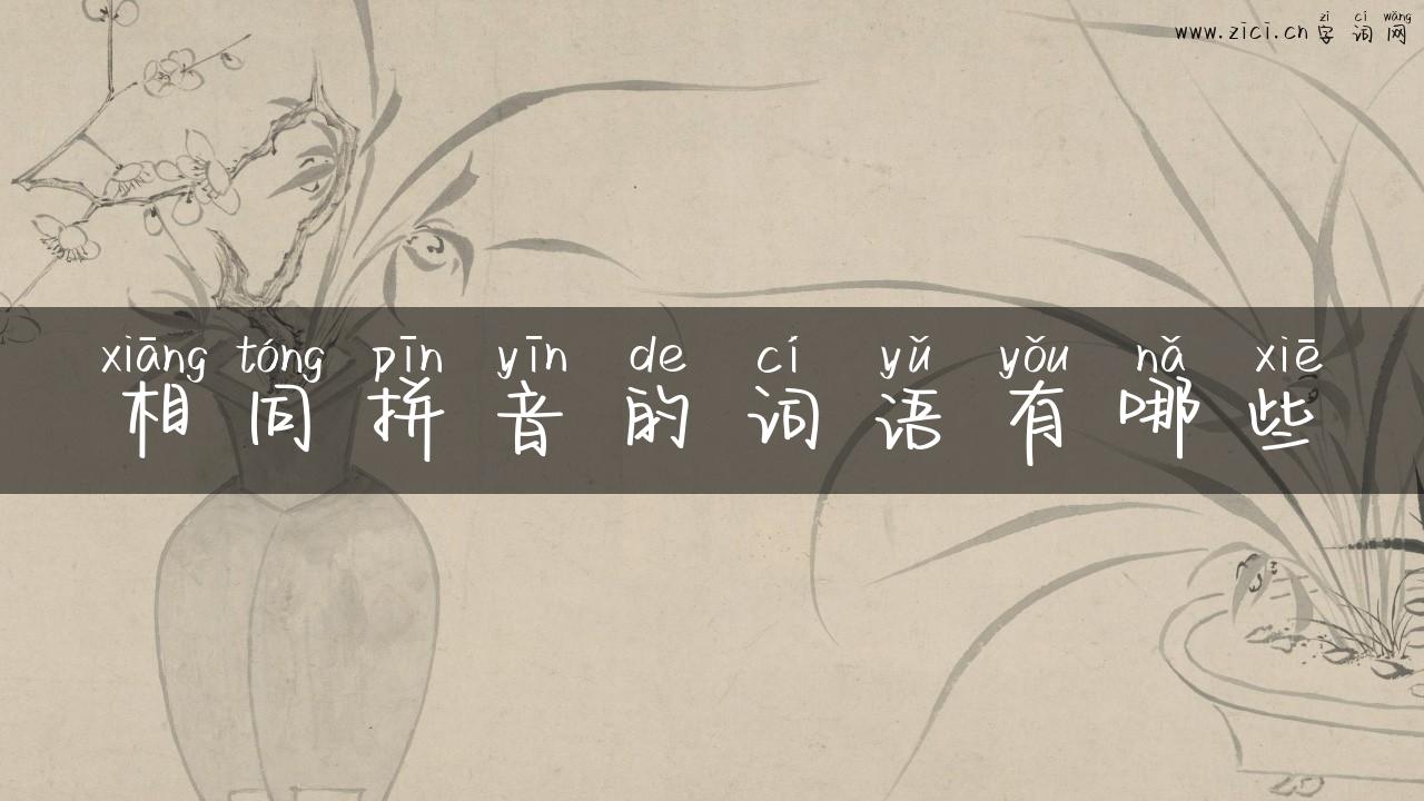 相同拼音的词语有哪些