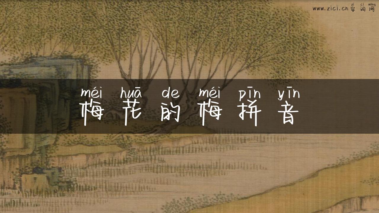 梅花的梅拼音