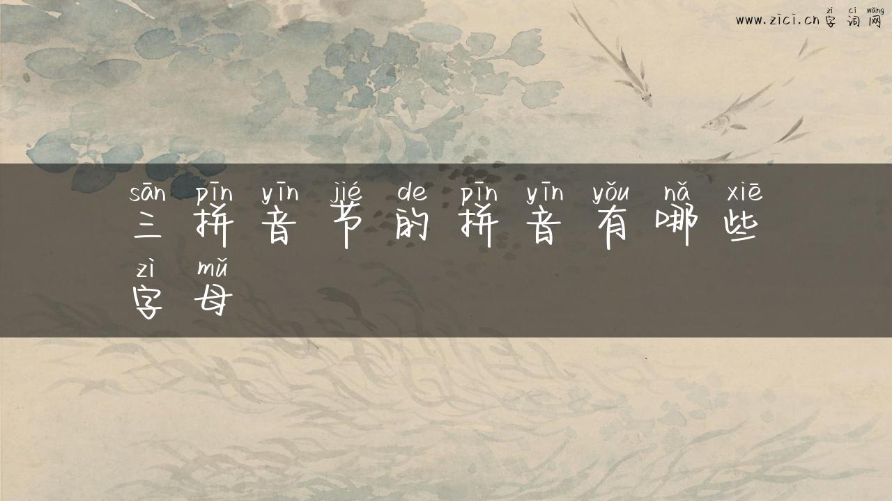 三拼音节的拼音有哪些字母