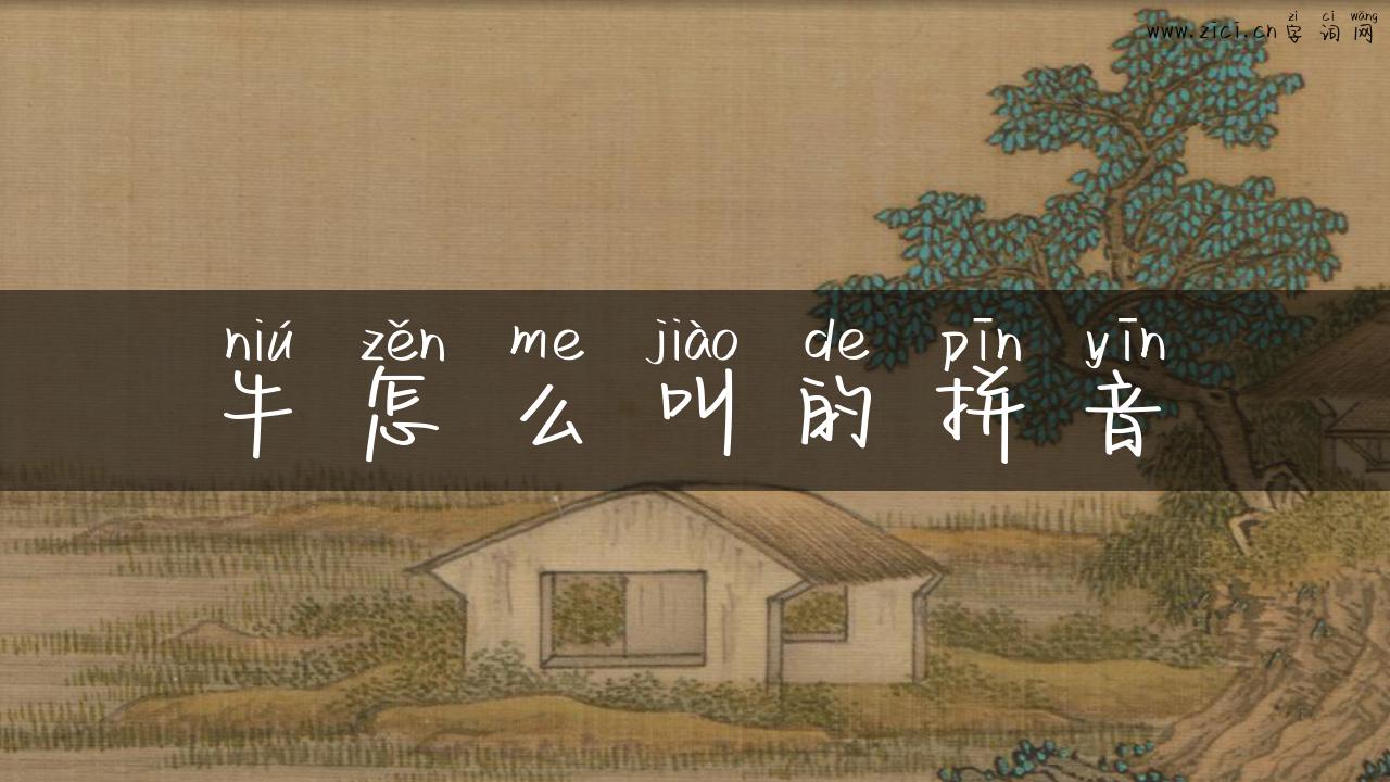 牛怎么叫的拼音