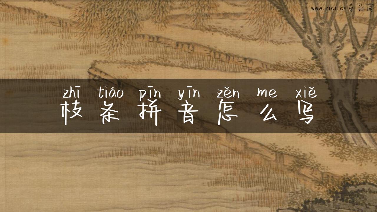 枝条拼音怎么写