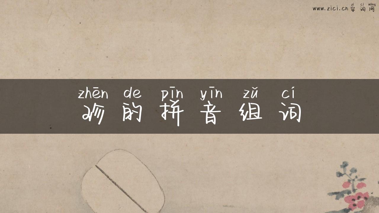 珍的拼音组词
