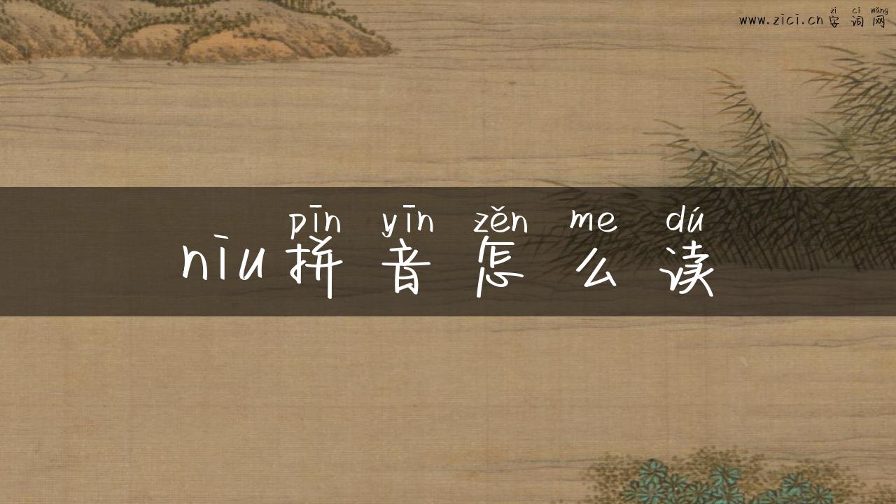 niu拼音怎么读