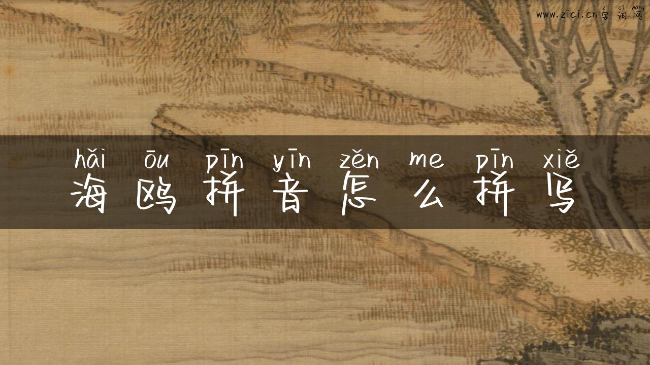 海鸥拼音怎么拼写