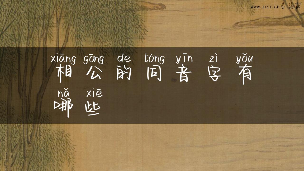 相公的同音字有哪些
