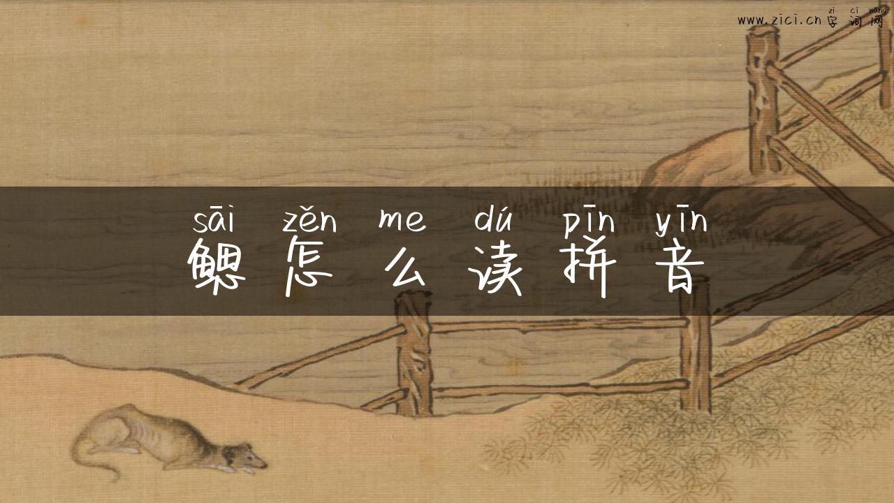 鳃怎么读拼音