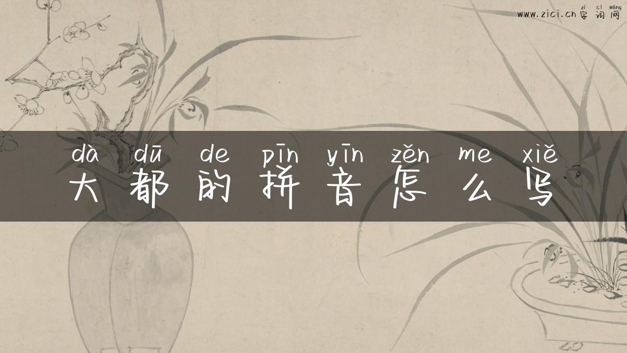 大都的拼音怎么写