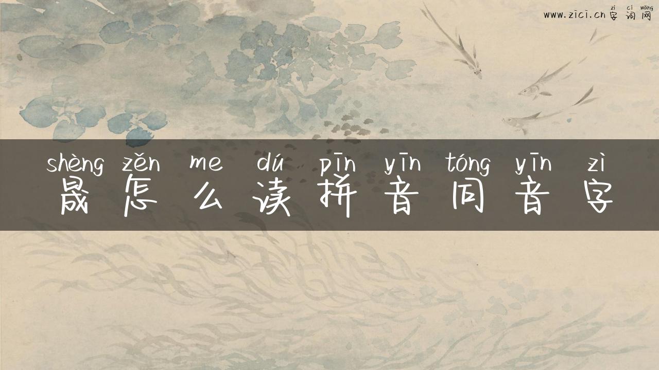 晟怎么读拼音同音字
