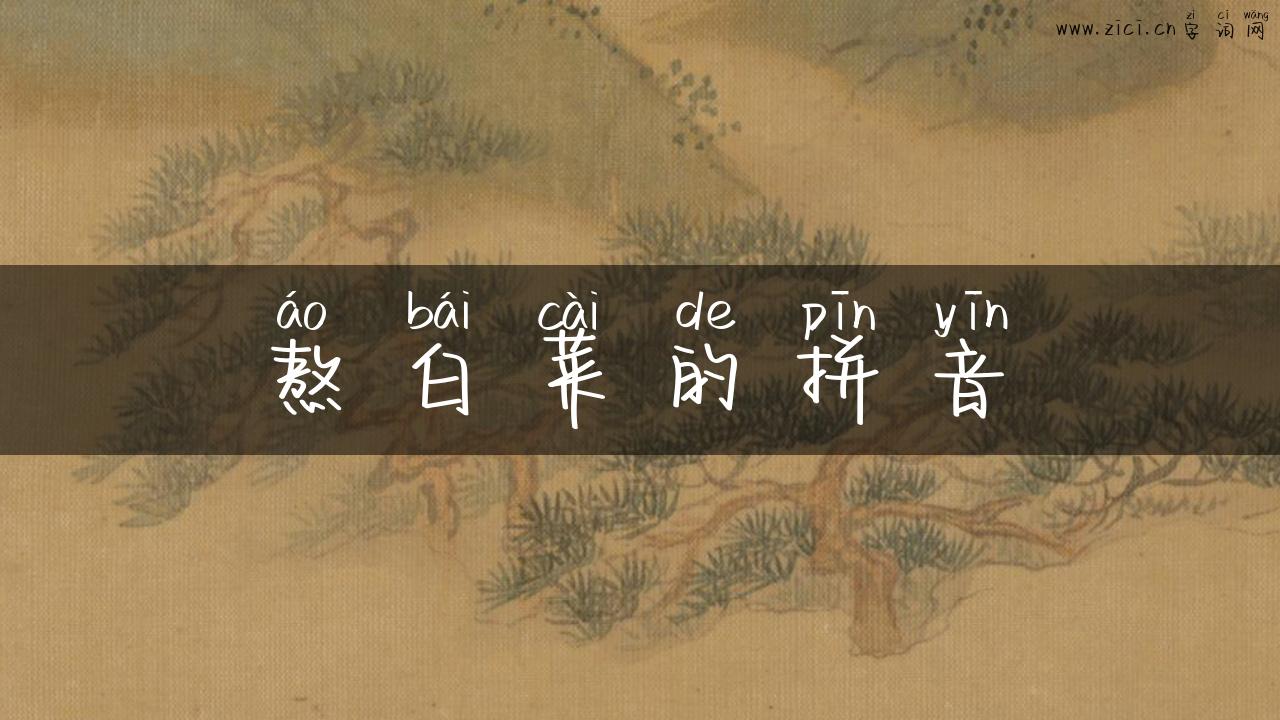 熬白菜的拼音