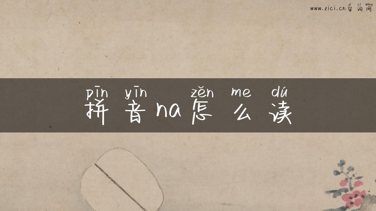 拼音na怎么读