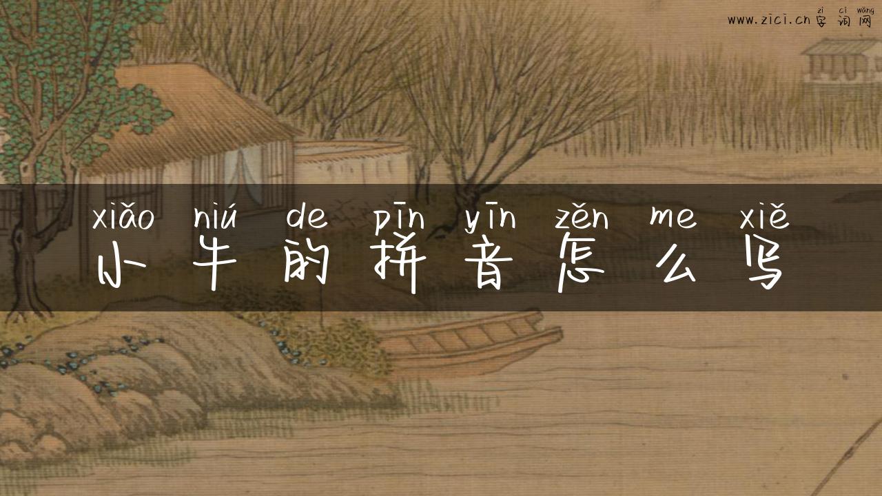小牛的拼音怎么写