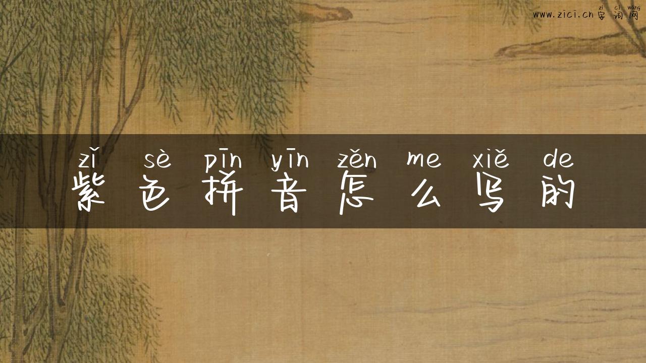 紫色拼音怎么写的