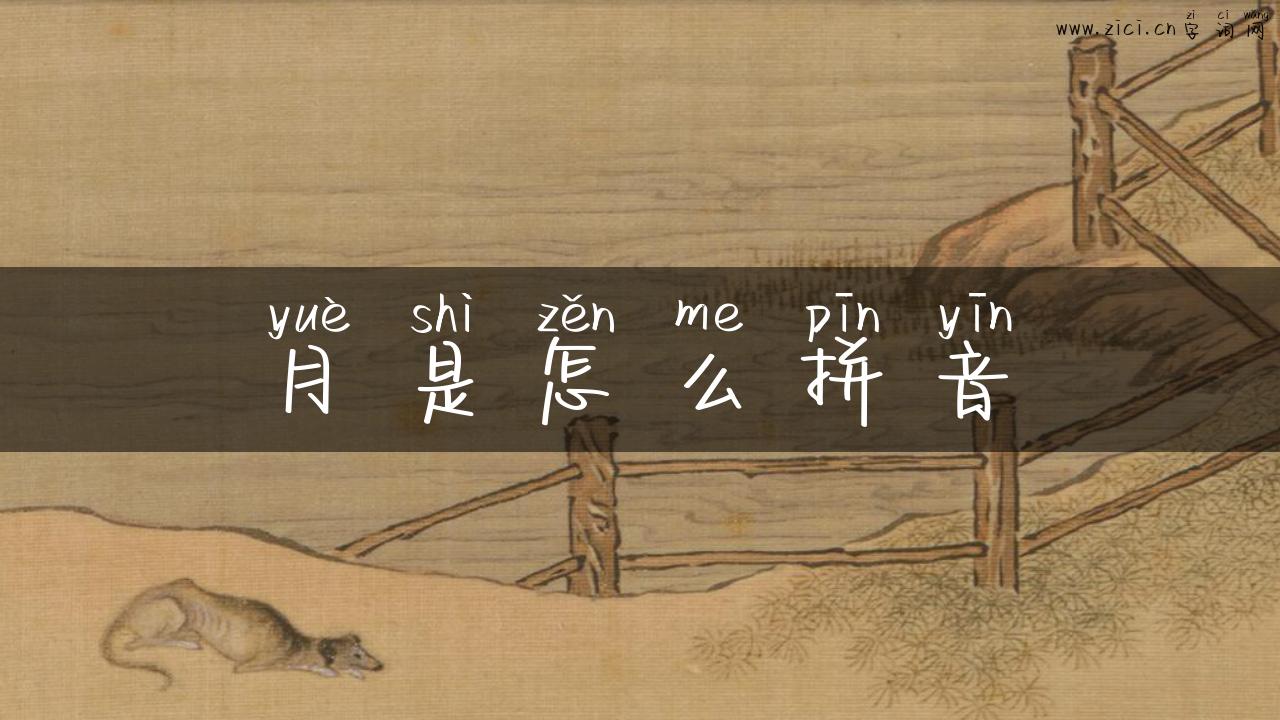 月是怎么拼音